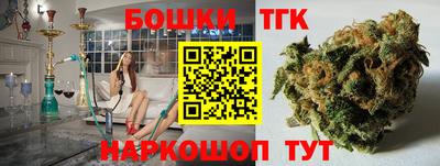 МДПВ Будённовск