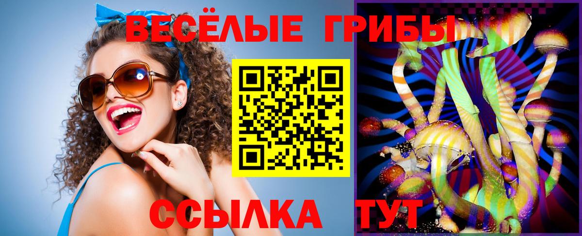 Псилоцибиновые грибы Magic Shrooms  цена наркотик  Вход с VPN  Красноармейск  Галлюциногенные грибы GOLDEN TEACHER 